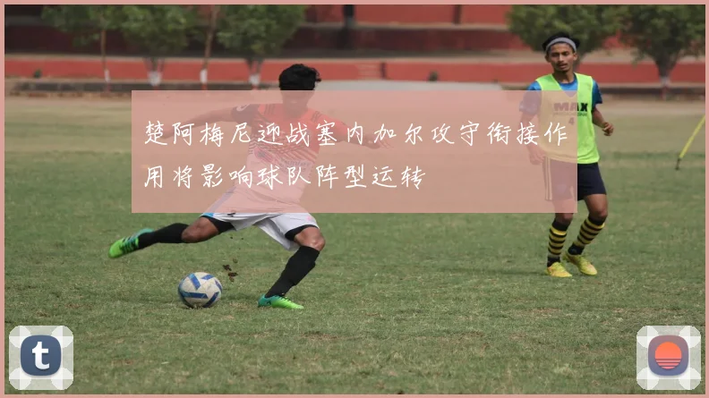 楚阿梅尼迎战塞内加尔攻守衔接作用将影响球队阵型运转