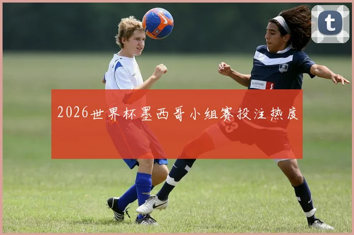 2026世界杯墨西哥小组赛投注热度
