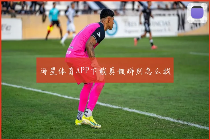 海星体育APP下载真假辨别怎么找