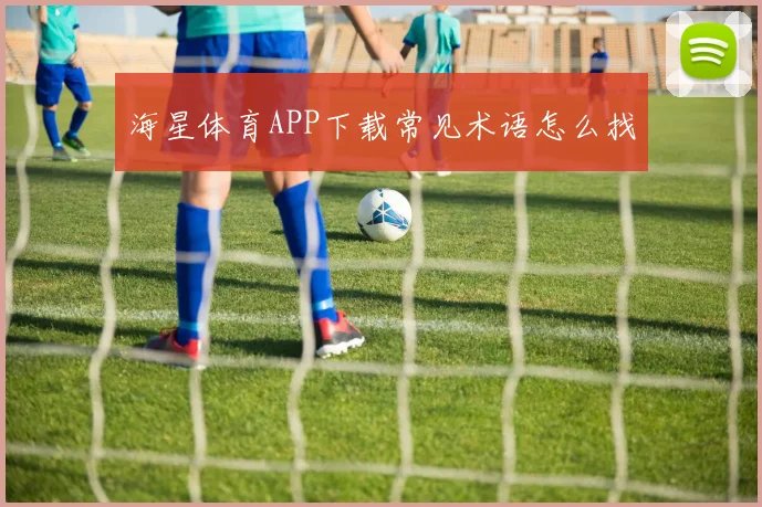 海星体育APP下载常见术语怎么找