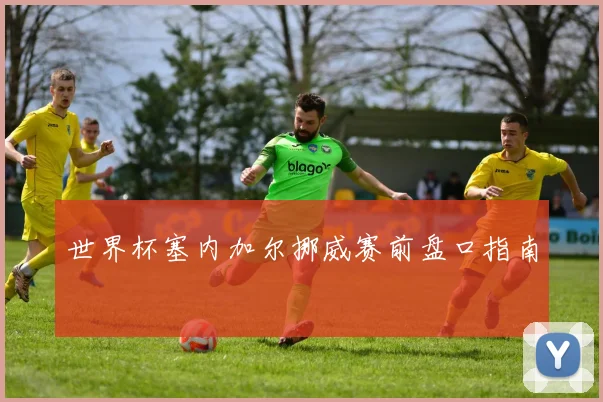 世界杯塞内加尔挪威赛前盘口指南